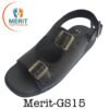 Merit GS15 100x100