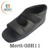 Merit GSH11 100x100