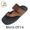 Merit GT14 100x100
