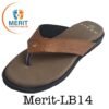 Merit LB14 100x100