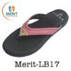 Merit LB17 100x100