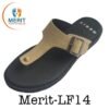 Merit LF14 100x100