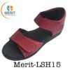 Merit LSH15 100x100